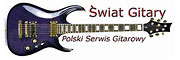  Świat Gitary 
 Polski portal gitarowy 